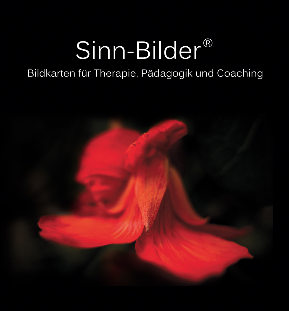 faltblatt__gefalzt_auf_din_lang__6-seiter_(wickelfalz)_2